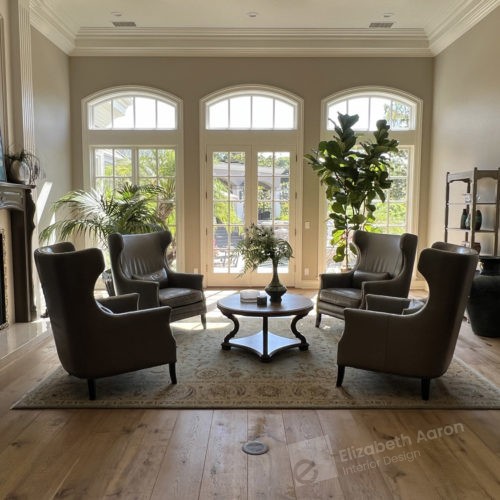 Luxury living room / salon design